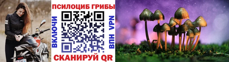 Купить  Тайга  Псилоцибиновые грибы мухоморы 