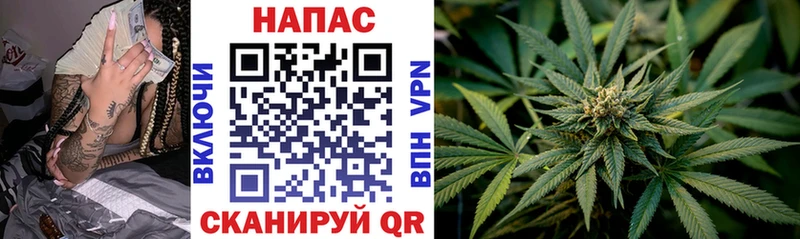 Канабис конопля  Купить где  Тайга 